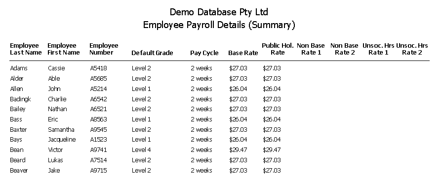 Employee Payroll Details Summary